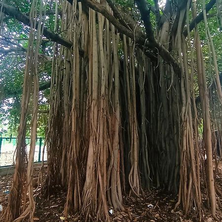 Hampi Anjana Home Stay المظهر الخارجي الصورة