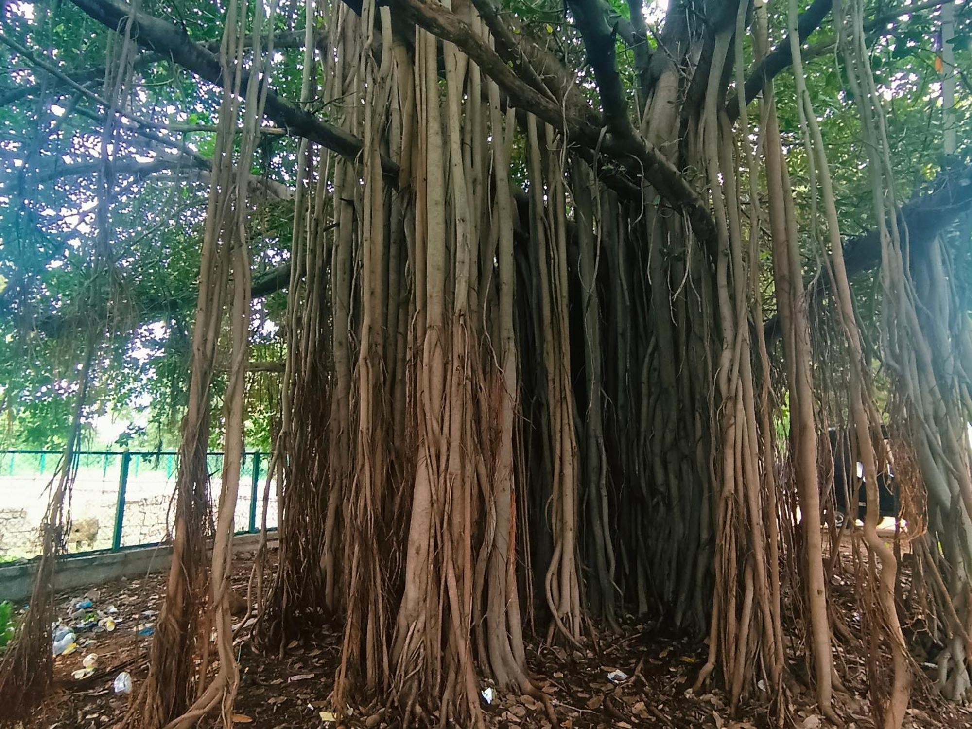 Hampi Anjana Home Stay المظهر الخارجي الصورة